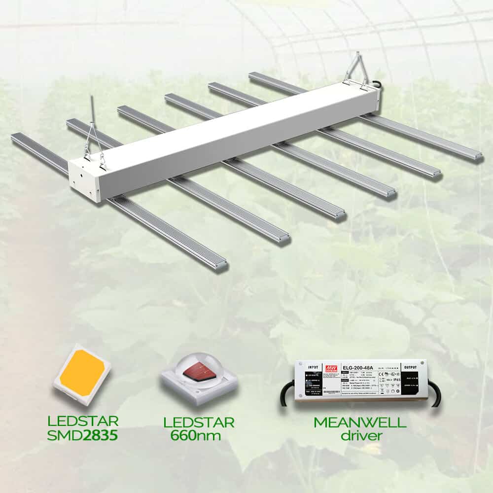 Knockeddown Spider LED Grow Light 600/800/1000Watts for Indoor Planting