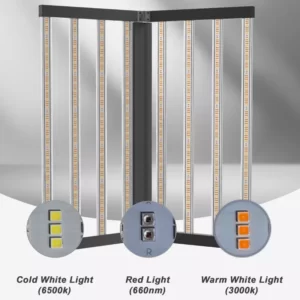 LEDs-as-Induced-Lighting-for-Plant-Photoperiod-and-Photomorphogenesis