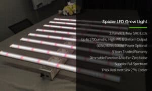 Which-LED-light-are-ideal-for-growing