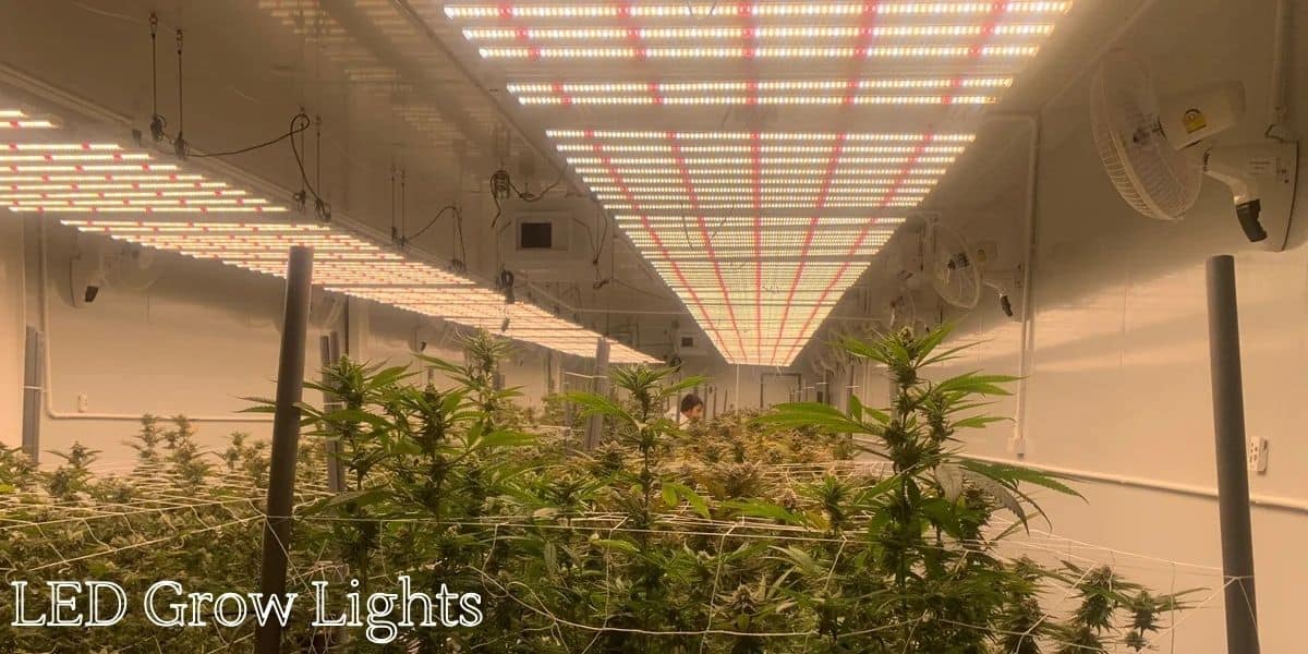 LED grow lights