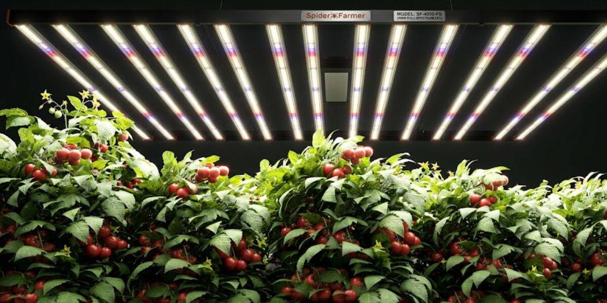 Spectral LED Grow Lights