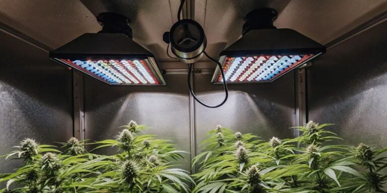 LED grow lights