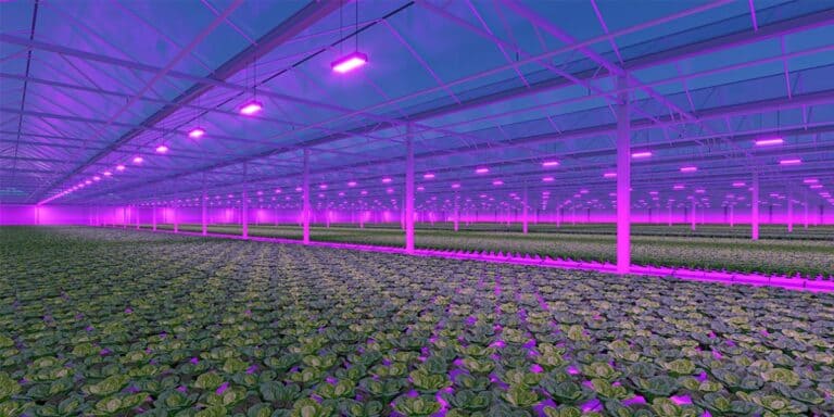 LED Greenhouse Lighting