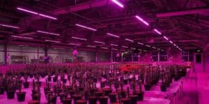 Dimmable LED Grow Lights