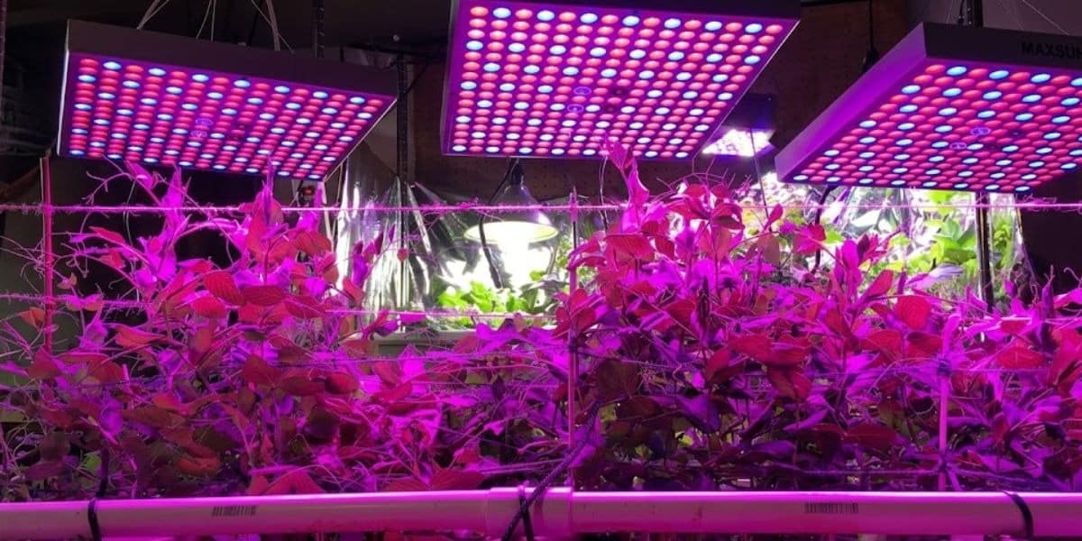UV Grow Lights