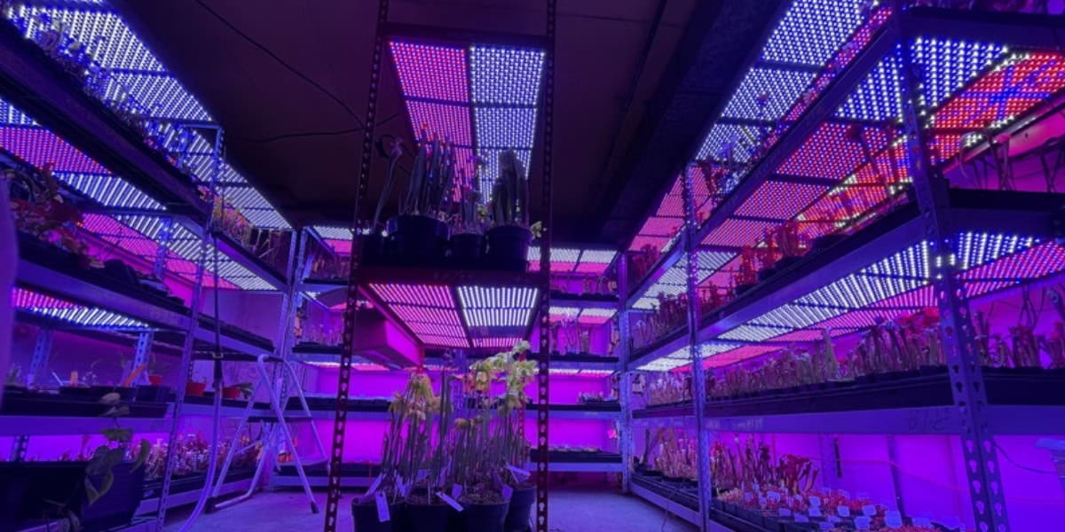 150W LED Grow Lights