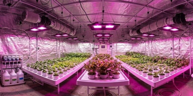 150W LED Lampes de culture