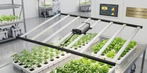 800 Watt LED Grow Lights: Complete Buying Guide for Indoor Plants