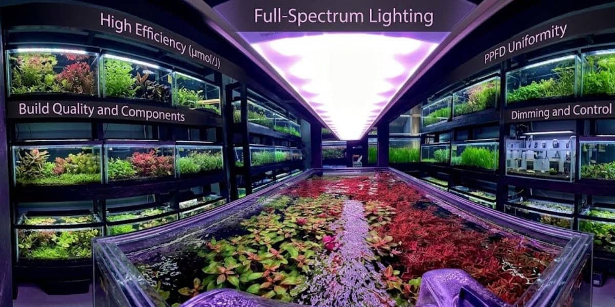 Growers Choice LED Grow Lights Growers Choice LED Grow Lights