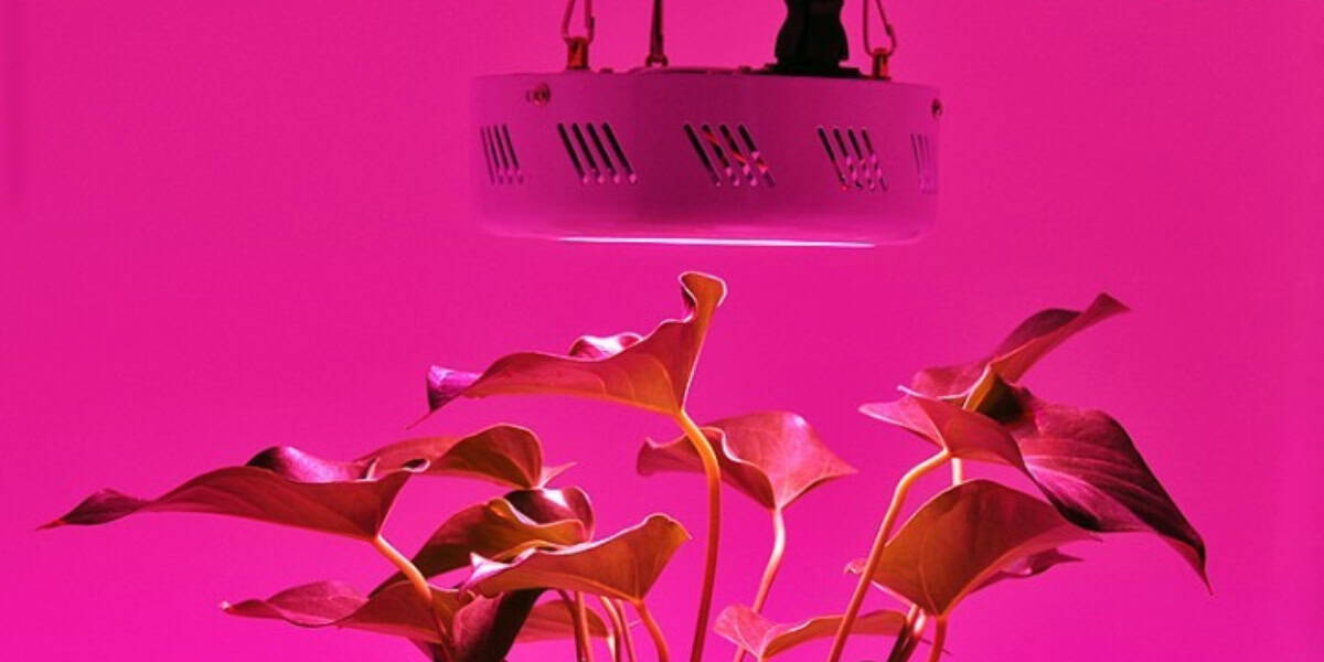 150W LED Grow Lights 150W LED Grow Lights